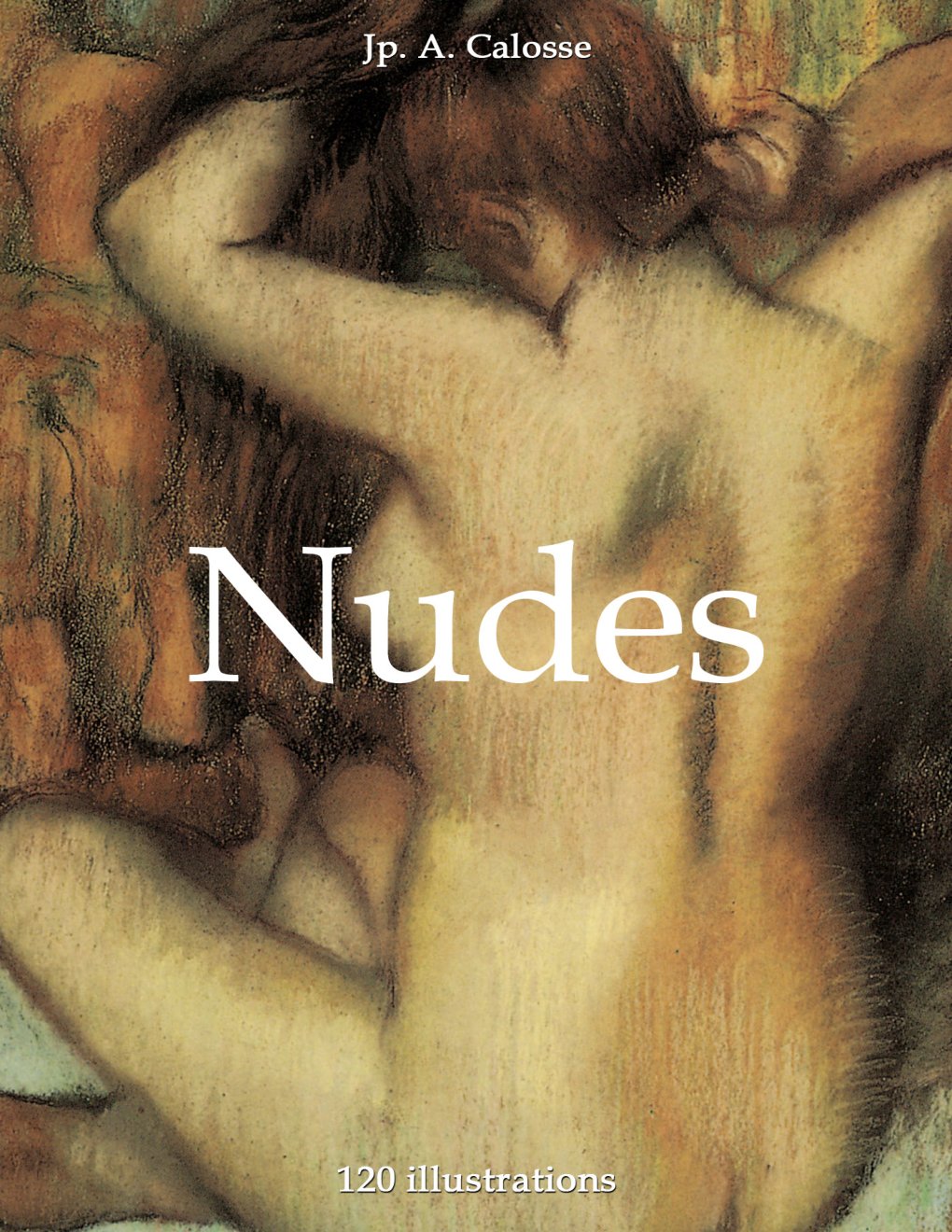 Cover of Nudes 120 illustrations
