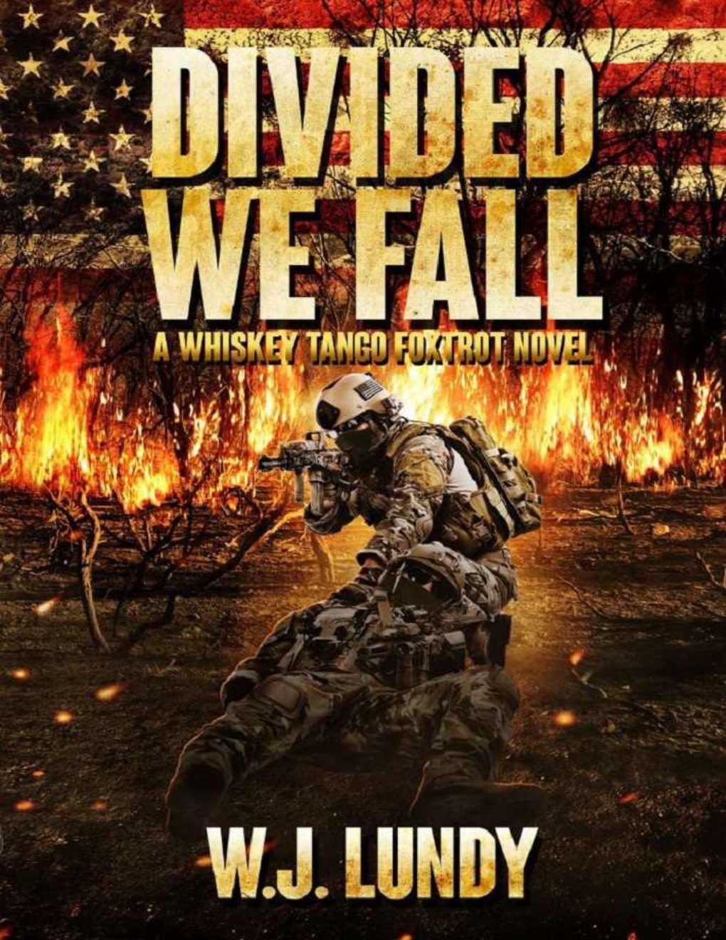 Cover of Divided We Fall (1768)