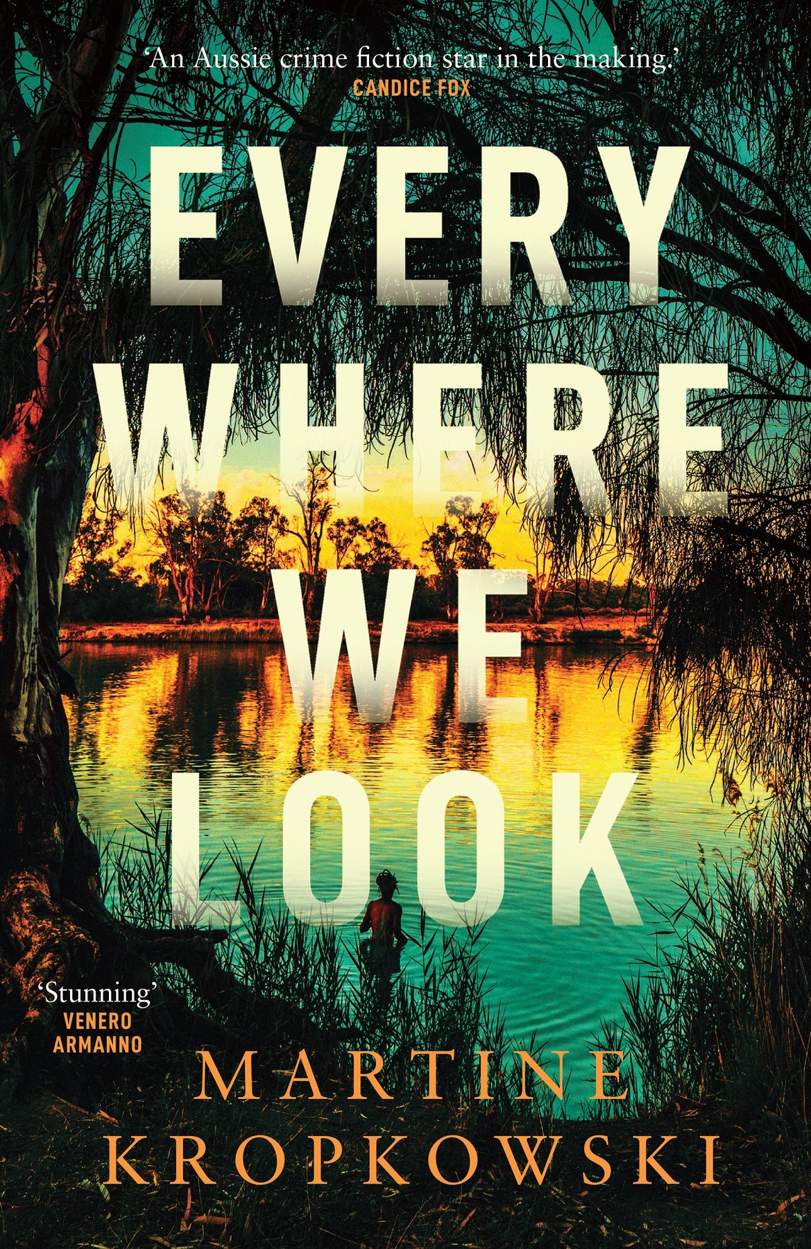 Cover of Everywhere We Look