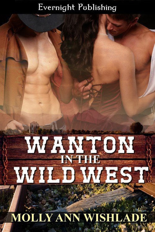Cover of Wanton in the Wild West