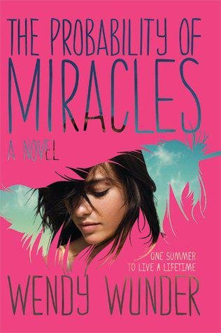 Cover of The Probability of Miracles