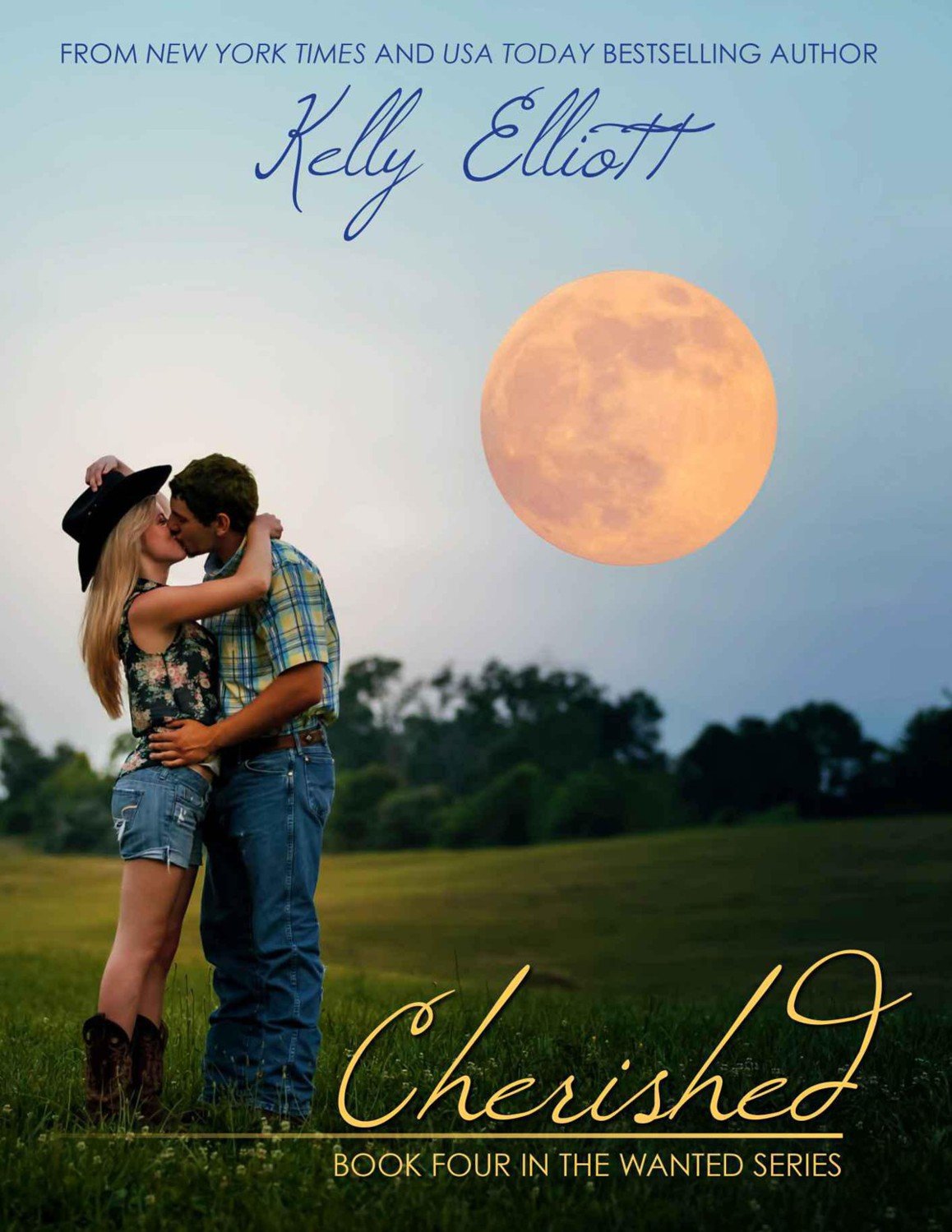 Cover of Cherished (Wanted)