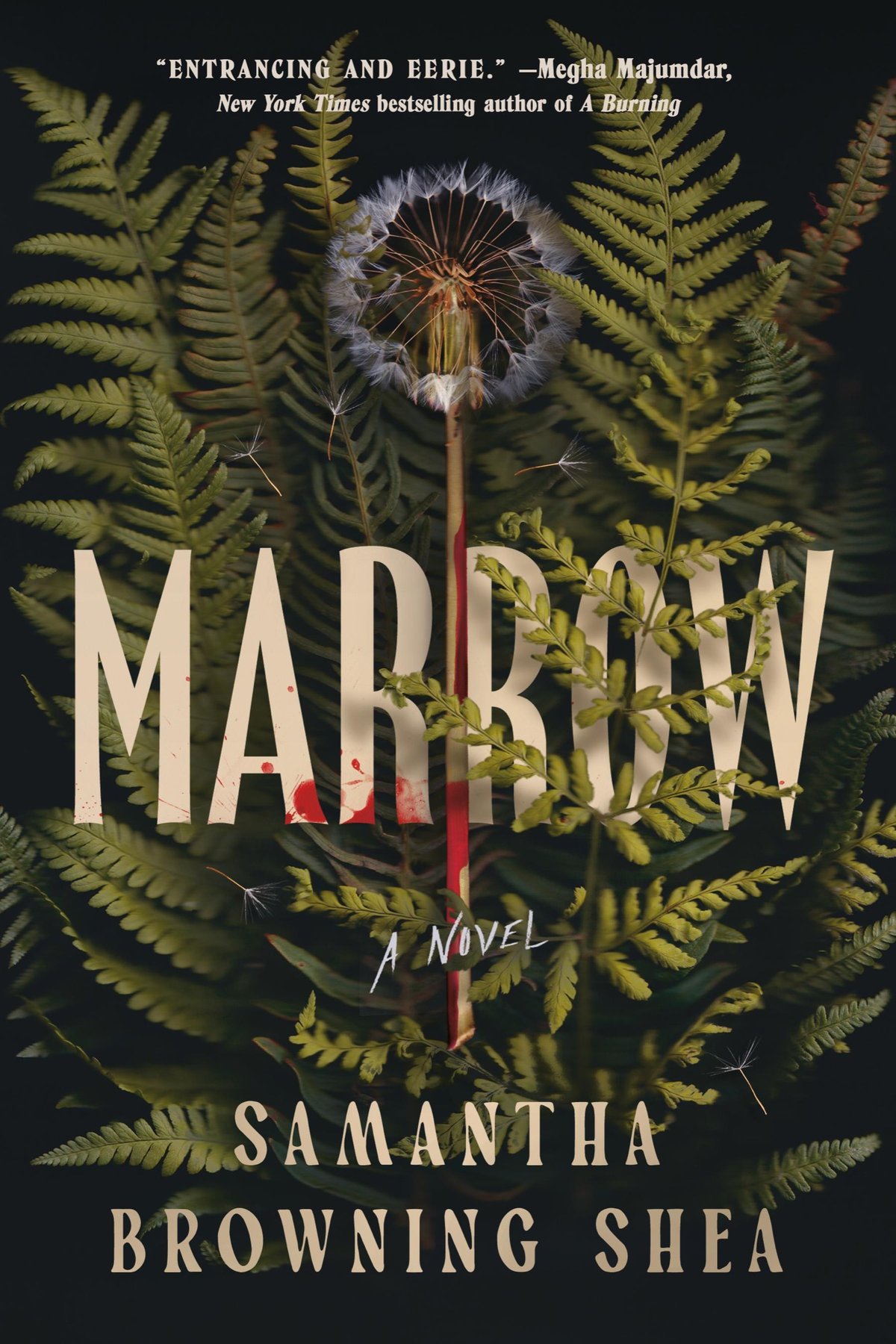 Cover of Marrow