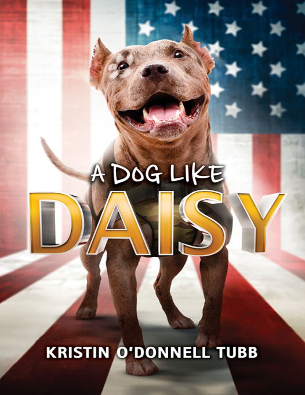 Cover of A Dog Like Daisy