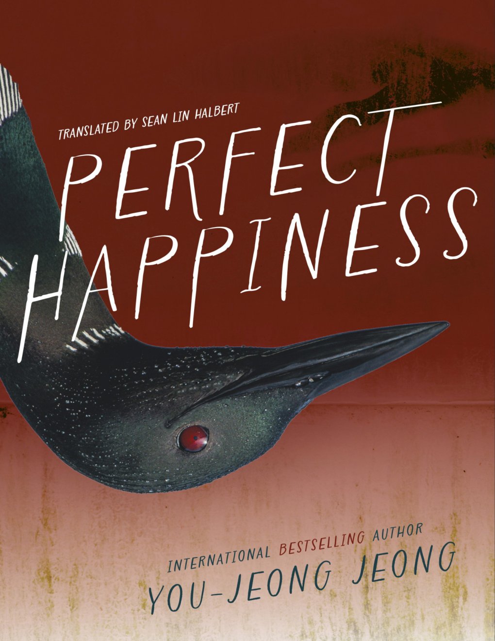 Cover of Perfect Happiness EPUB