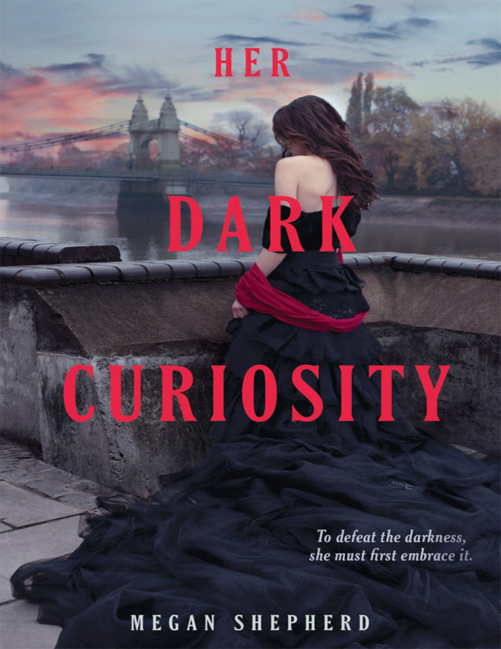 Cover of Her Dark Curiosity