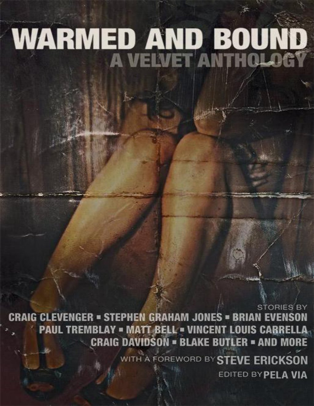 Cover of Warmed and Bound
