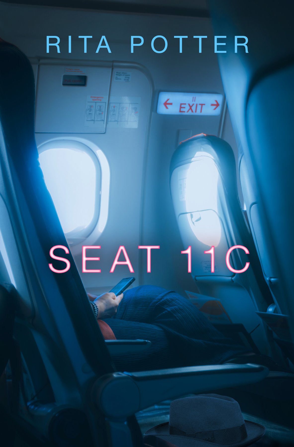 Cover of Seat 11C