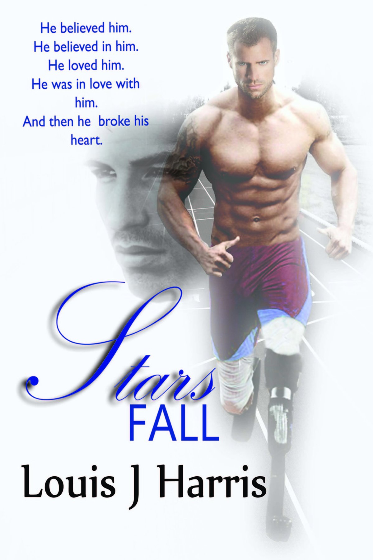 Cover of Stars Fall
