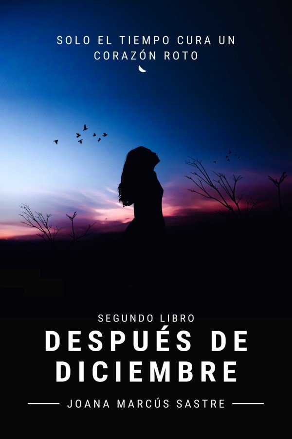Cover of Después de diciembre