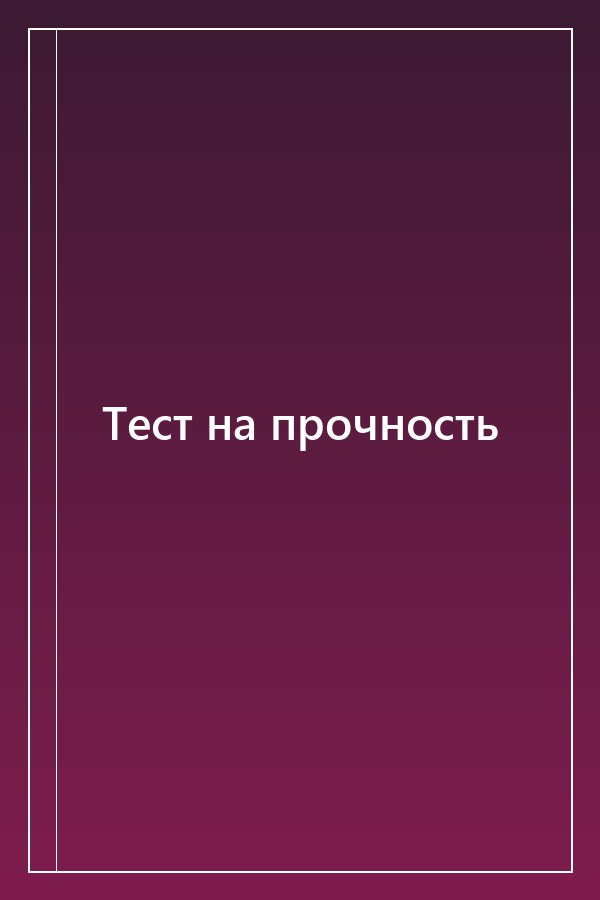 Cover of Тест на прочность