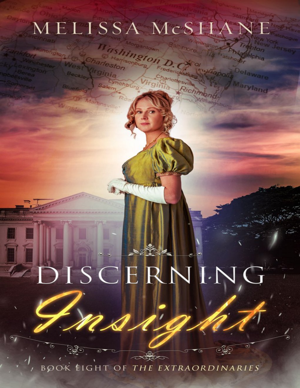 Cover of Discerning Insight