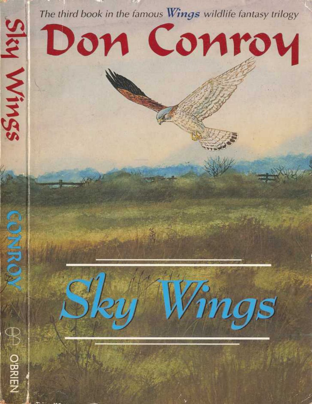 Cover of Sky Wings