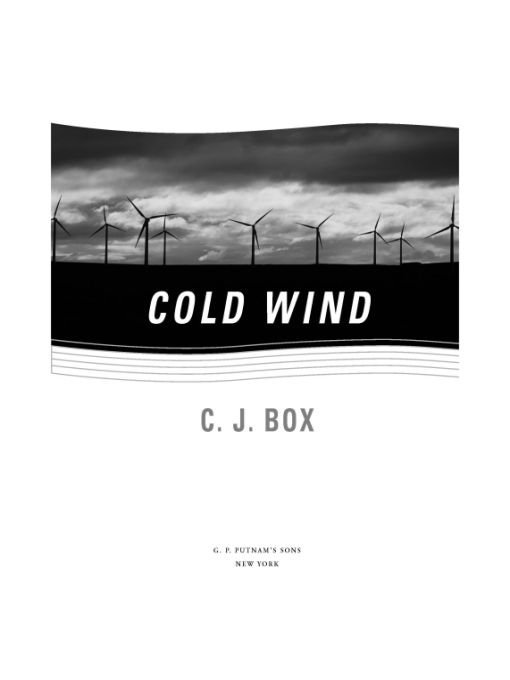 Cover of Cold Wind