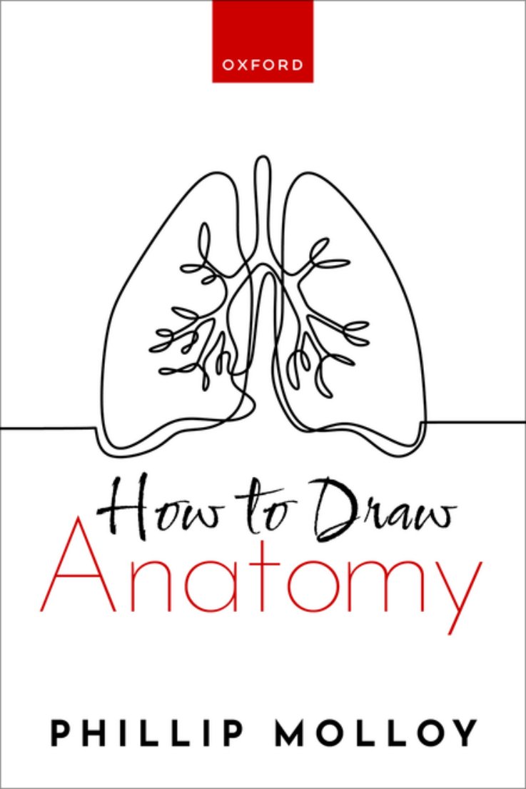 Cover of How To Draw Anatomy