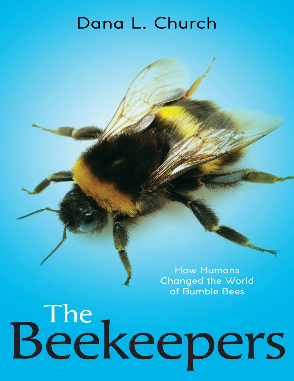 Cover of Beekeepers