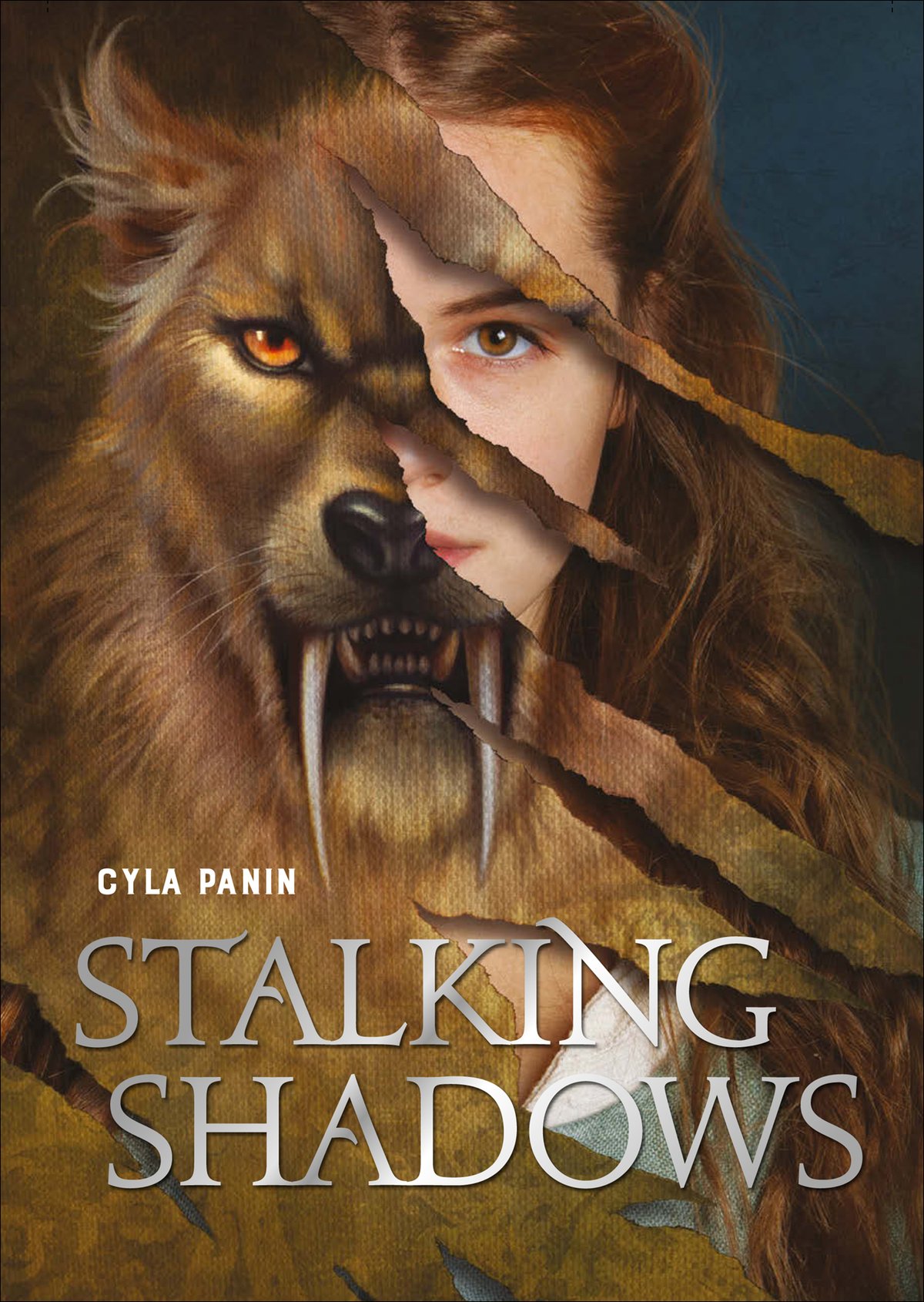 Cover of Stalking Shadows