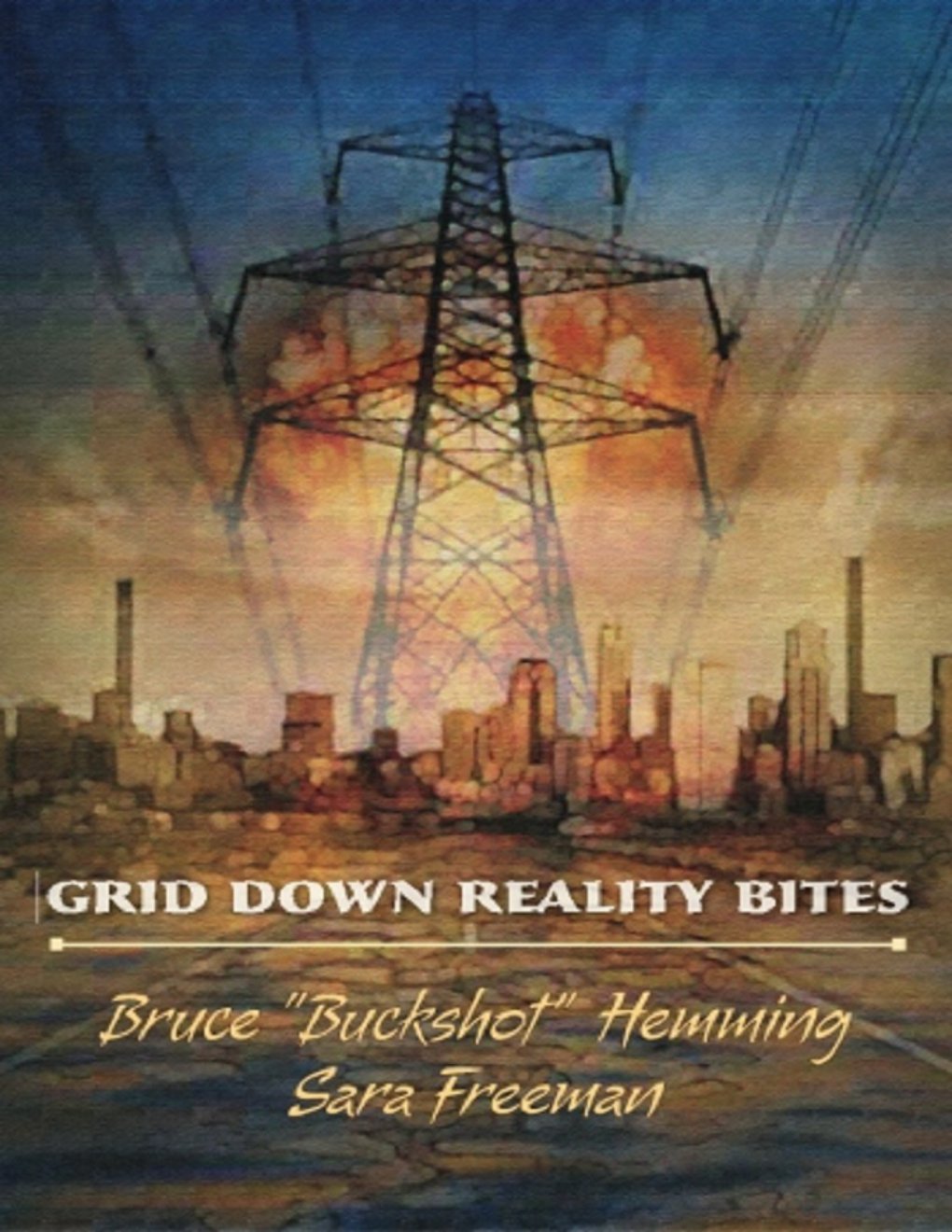 Cover of Grid Down Reality Bites (2009)