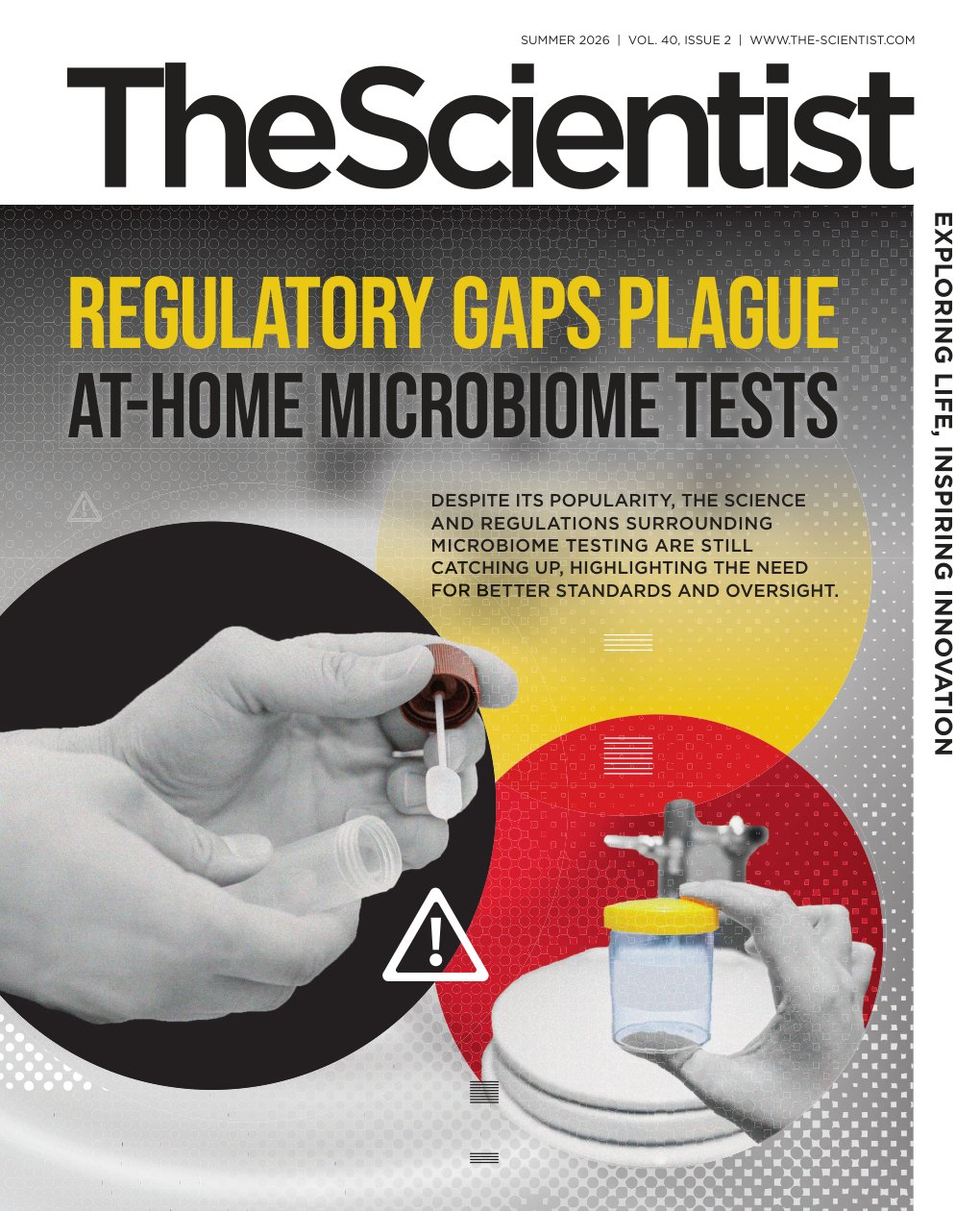 Cover of Regulatory Gaps Plague