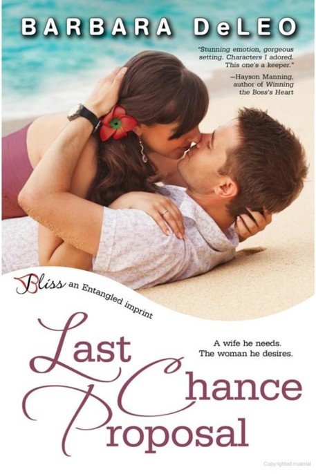 Cover of Last Chance Proposal