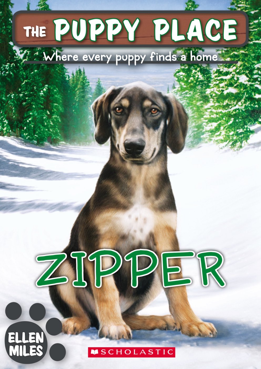 Cover of Zipper (2014)