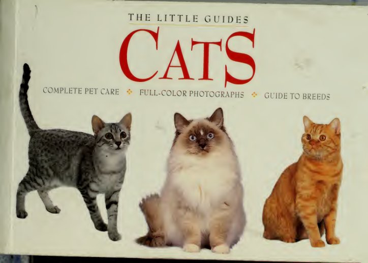 Cover of Cats