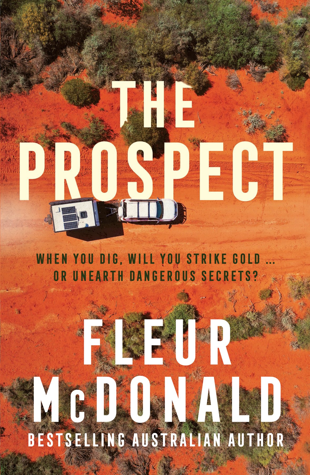 Cover of The Prospect