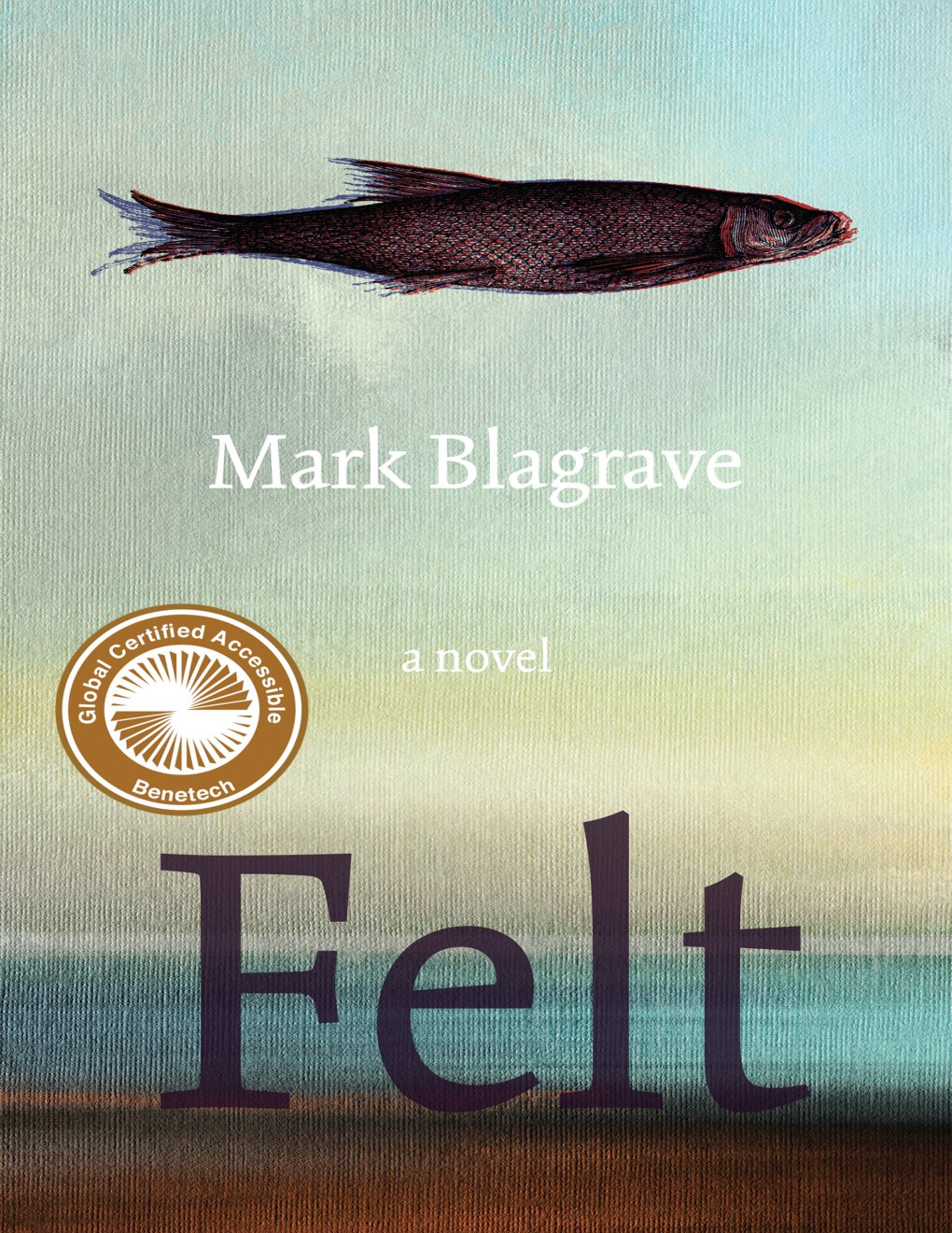 Cover of Felt