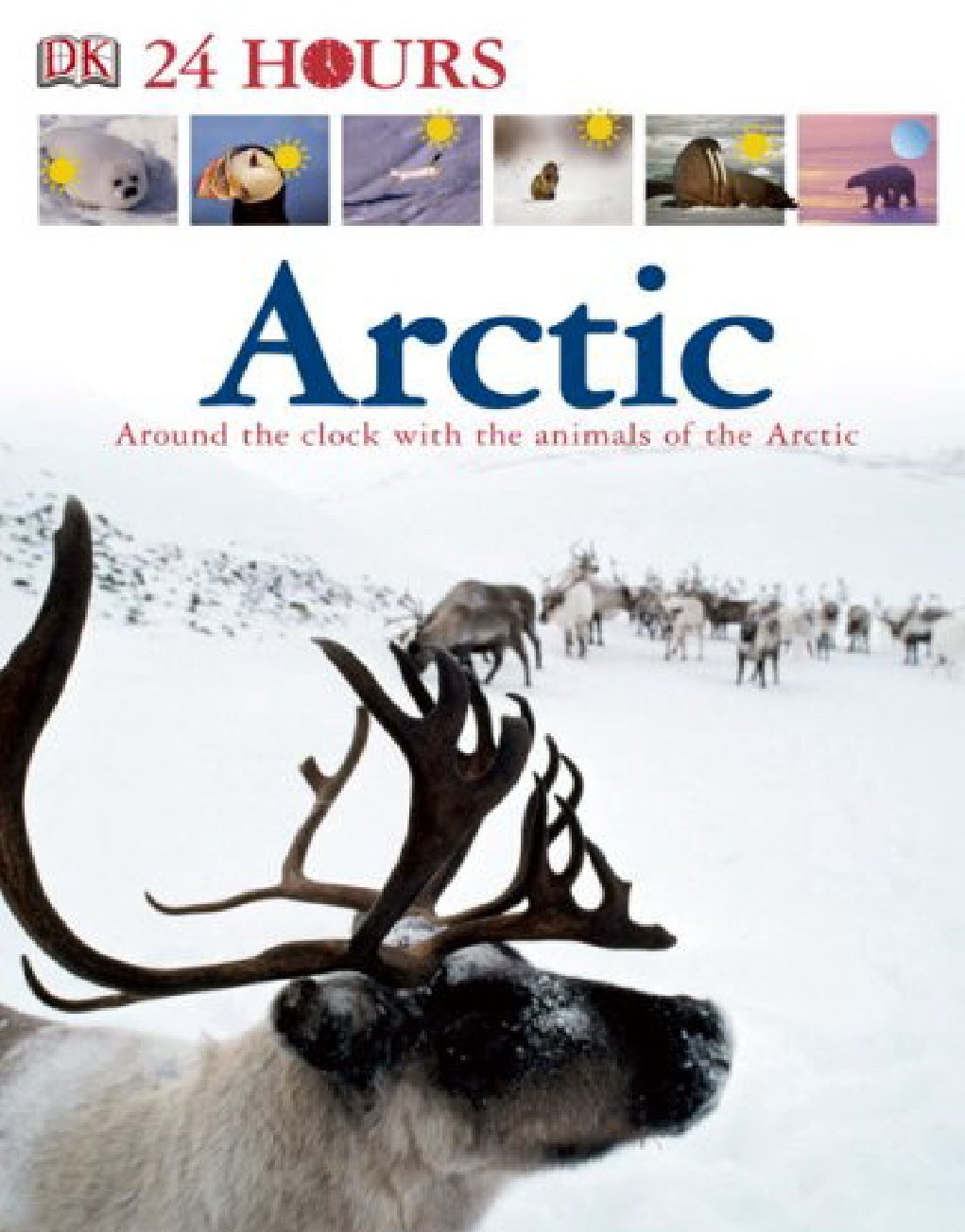 Cover of 24 HOURS (2006)