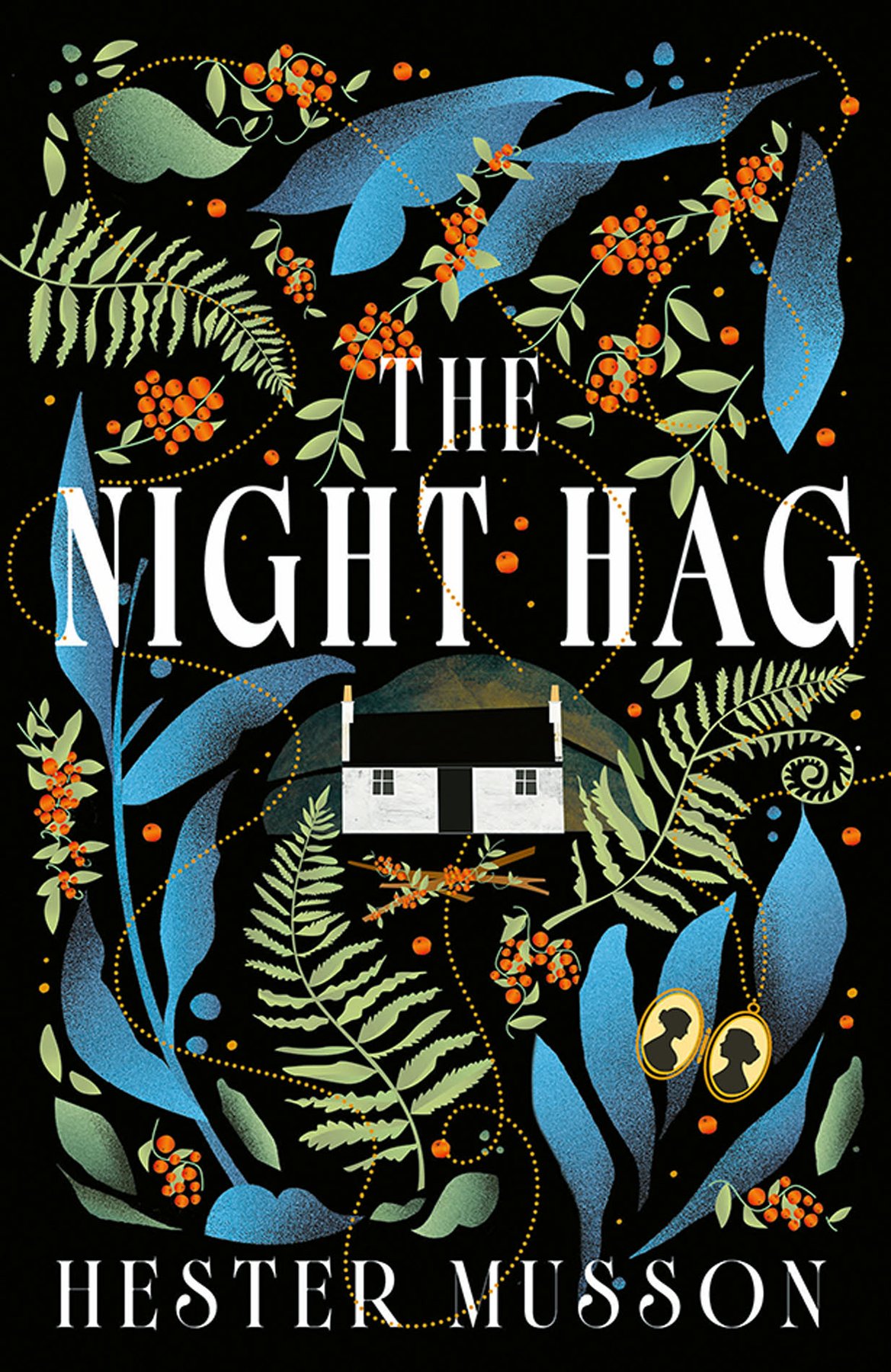 Cover of The Night Hag
