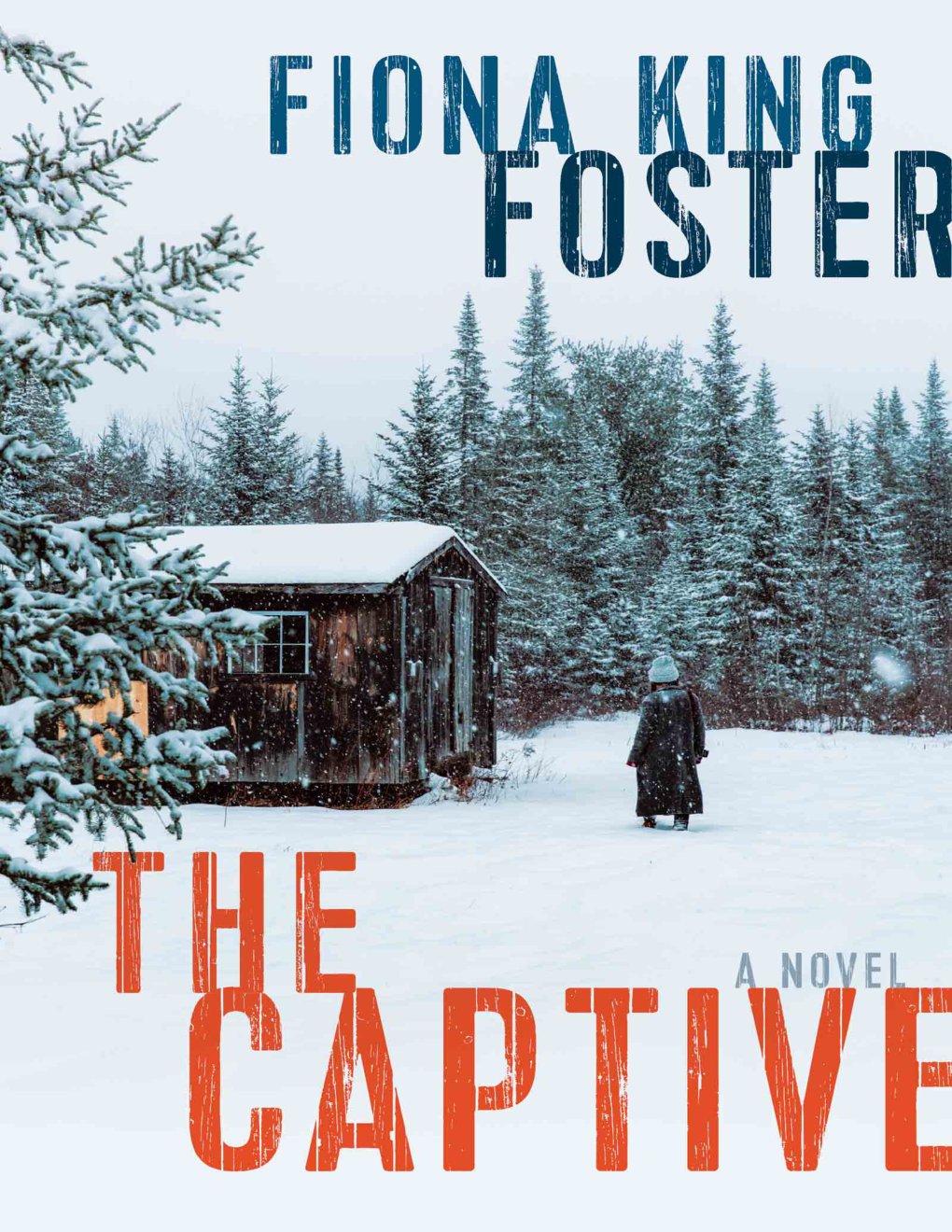 Cover of The Captive