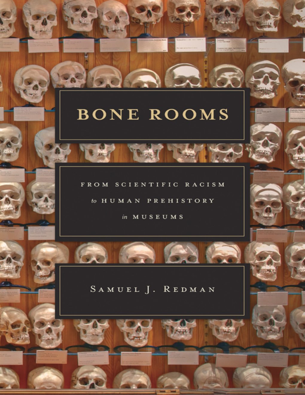 Cover of Bone Rooms