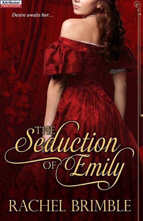 Cover of Rachel Brimble