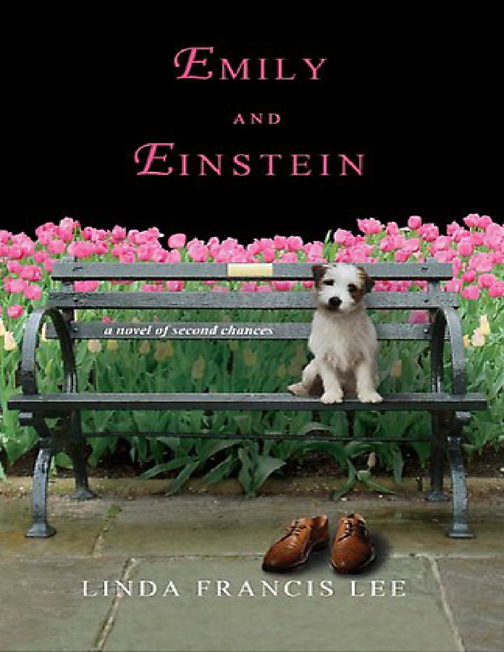 Cover of Emily and Einstein