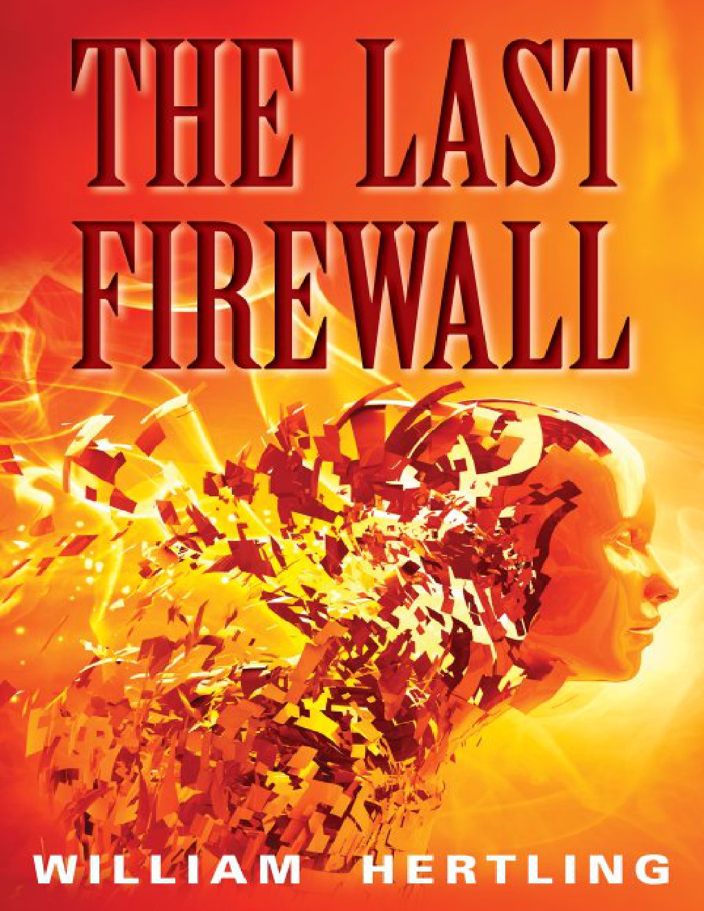Cover of The Last Firewall