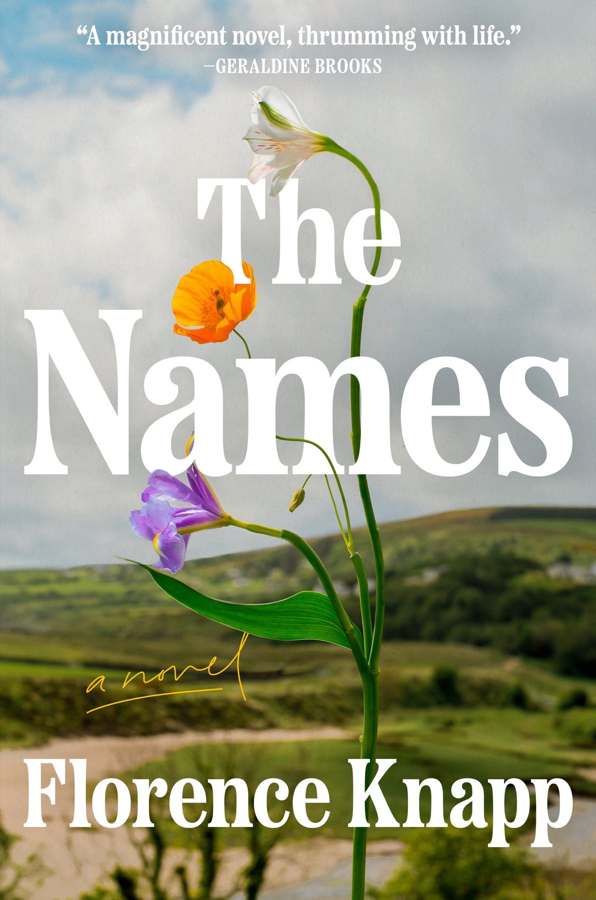 Cover of The Names