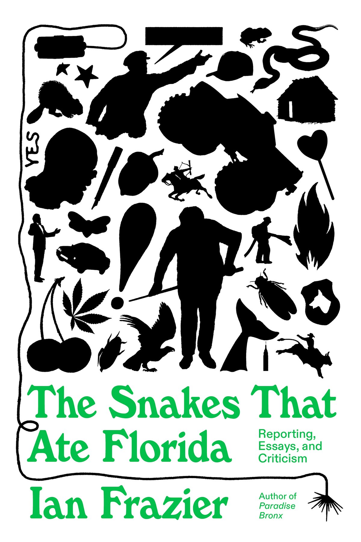 Cover of The Snakes That Ate Florida