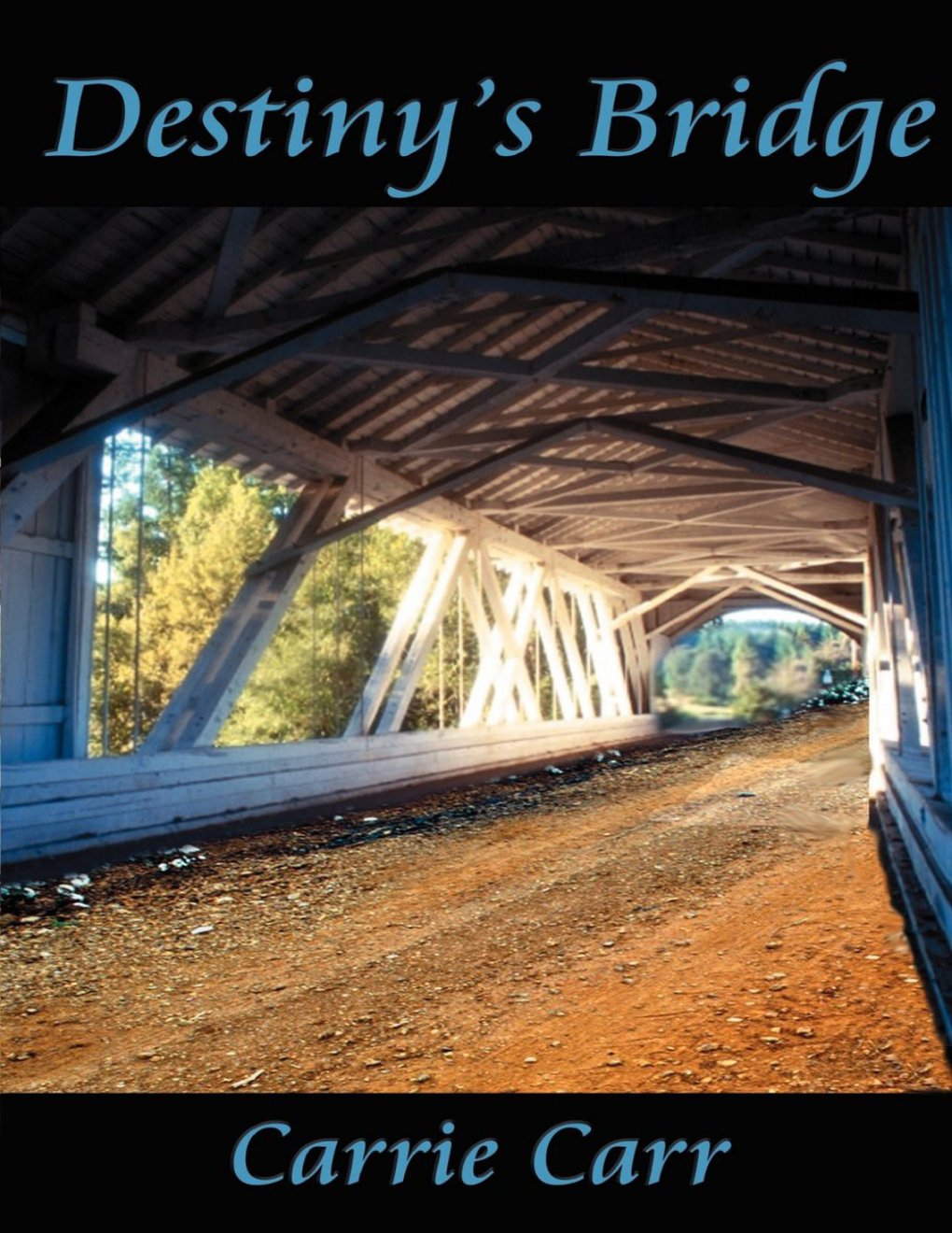 Cover of Destiny's Bridge