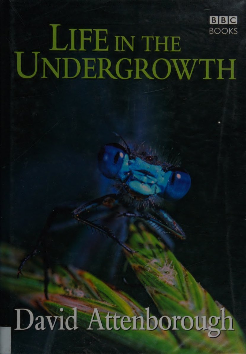 Cover of Life in the undergrowth
