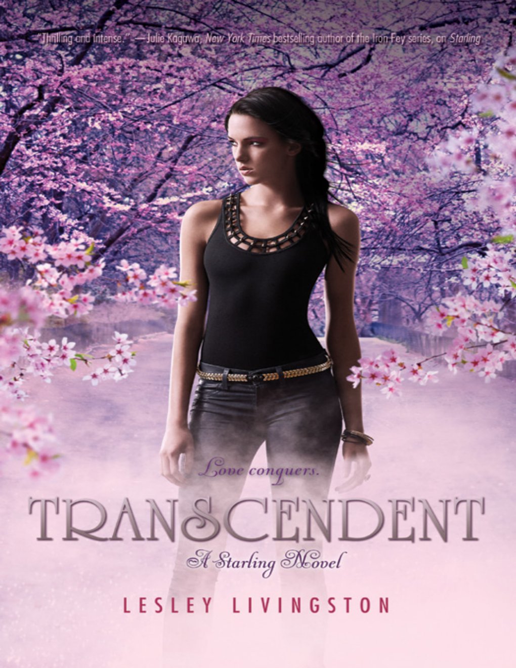 Cover of Transcendent (2000)