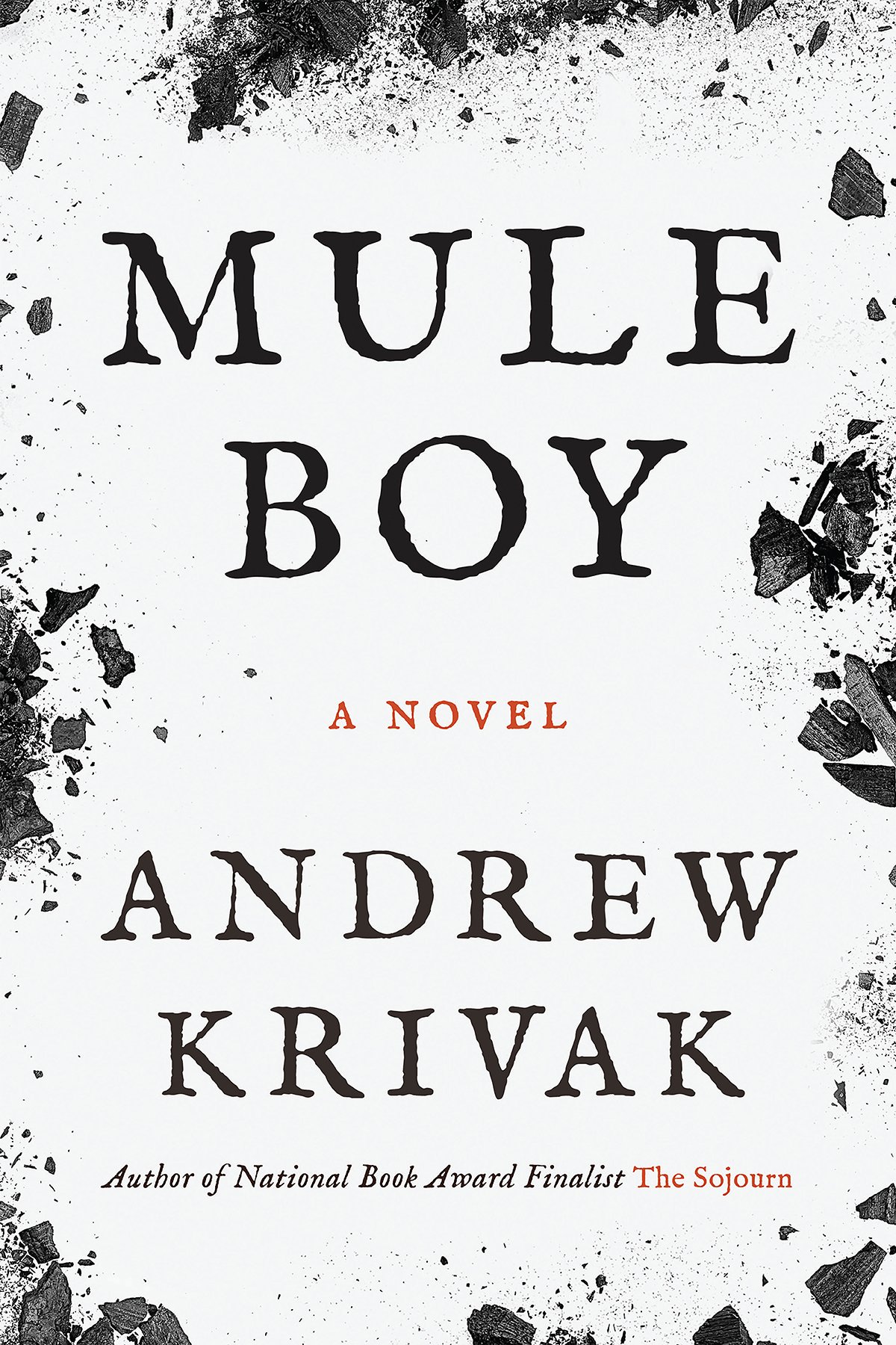 Cover of Mule Boy