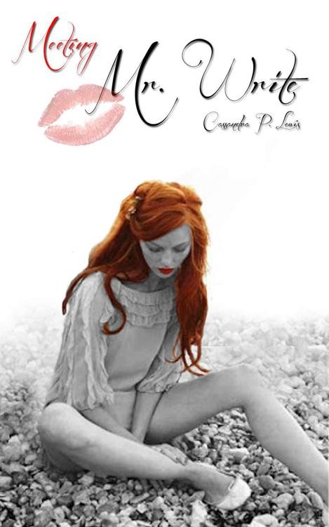Cover of Meeting Mr Write