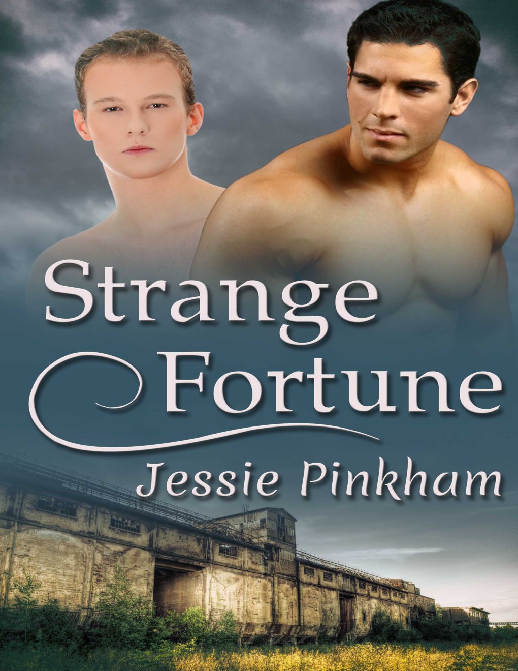Cover of Strange Fortune