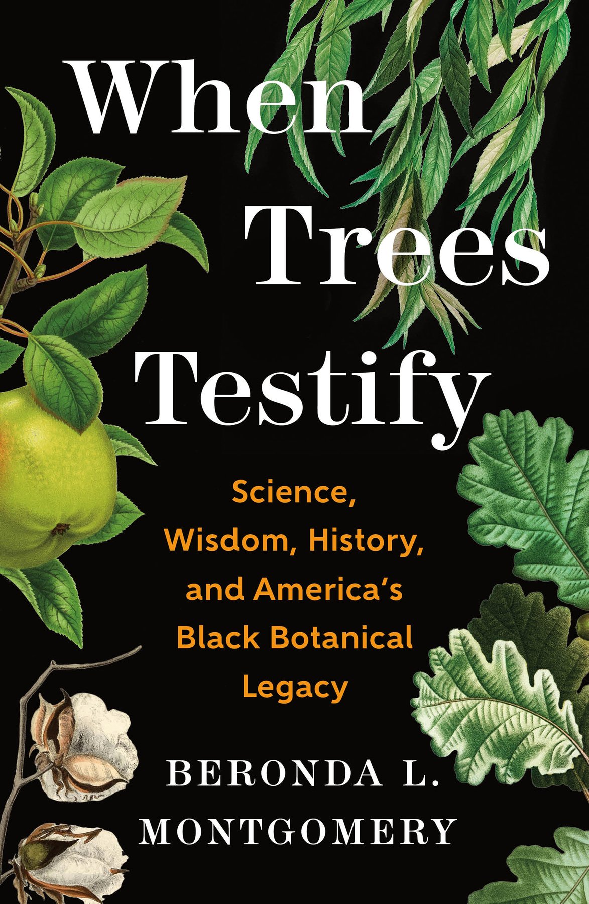 Cover of When Trees Testify