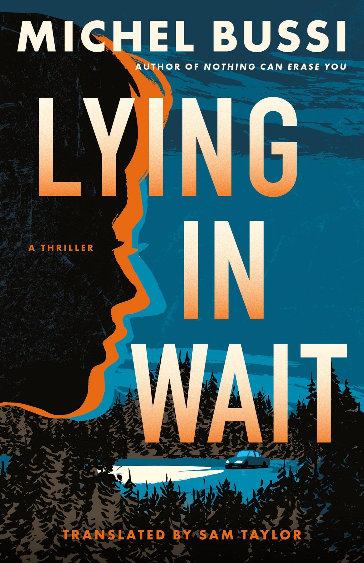 Cover of Lying in Wait- A Thriller (2025)