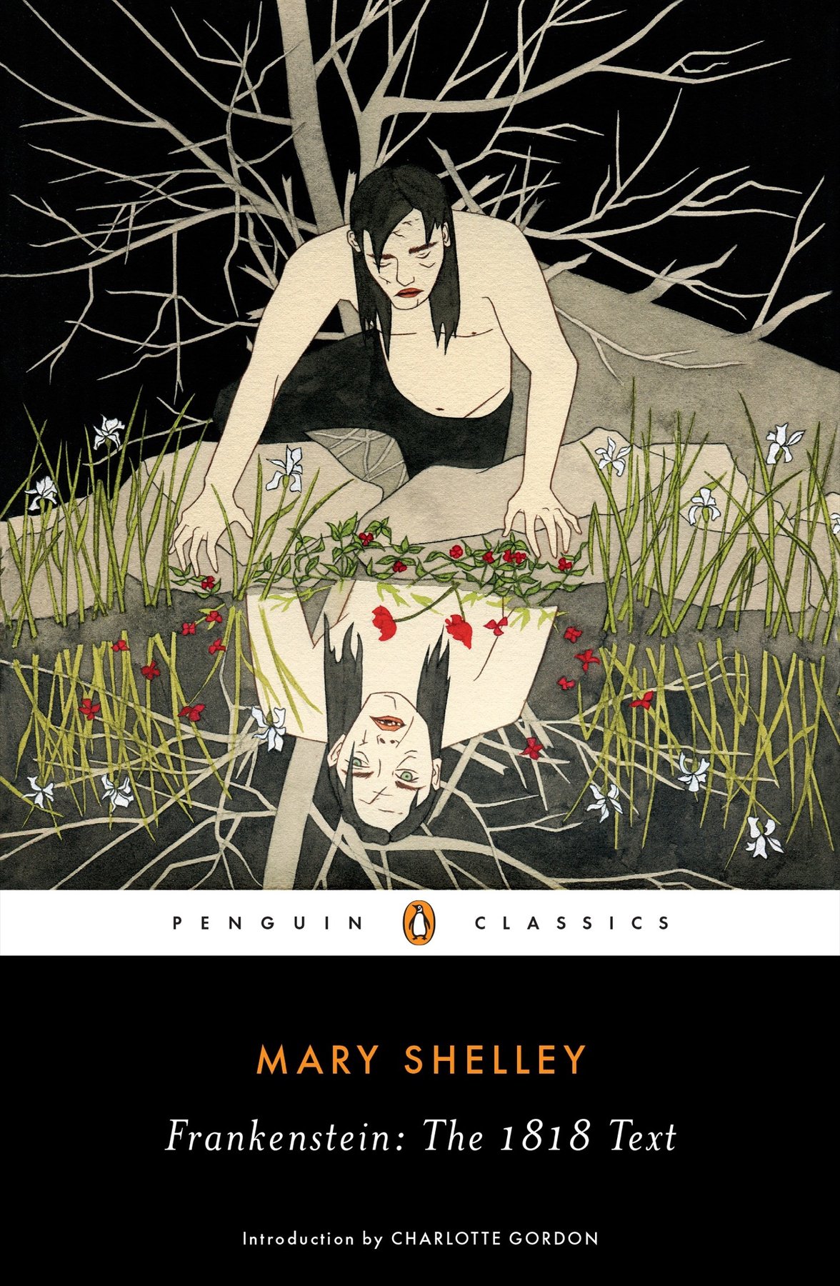 Cover of Frankenstein--The 1818 Text