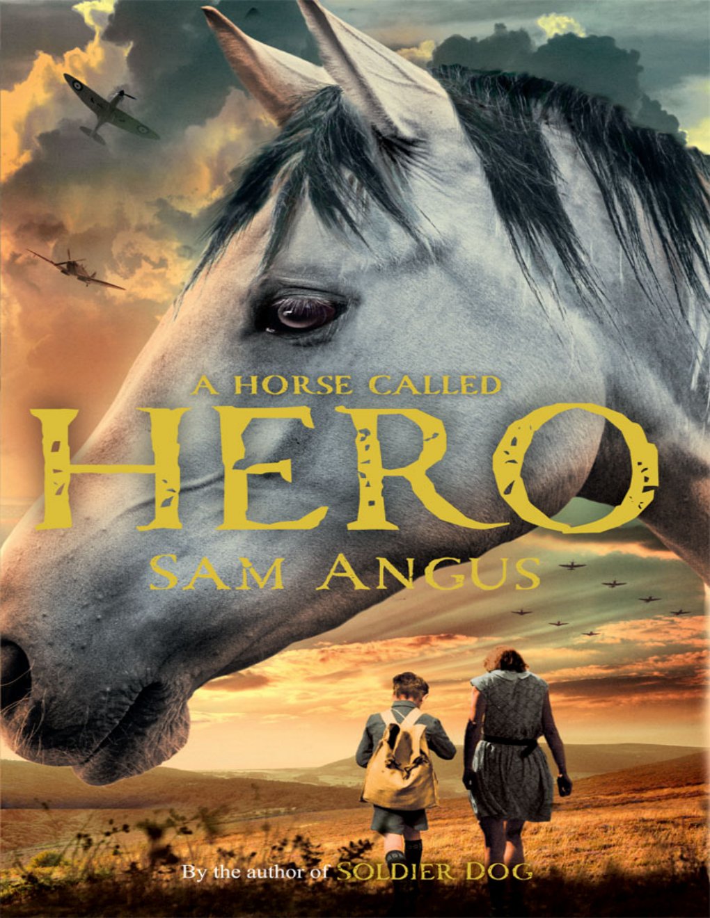 Cover of A Horse Called Hero