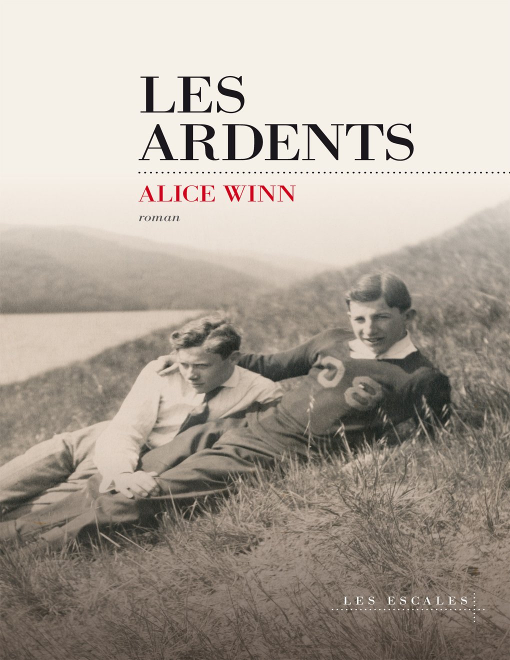 Cover of Les ardents