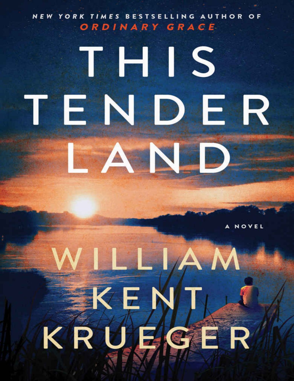 Cover of This Tender Land