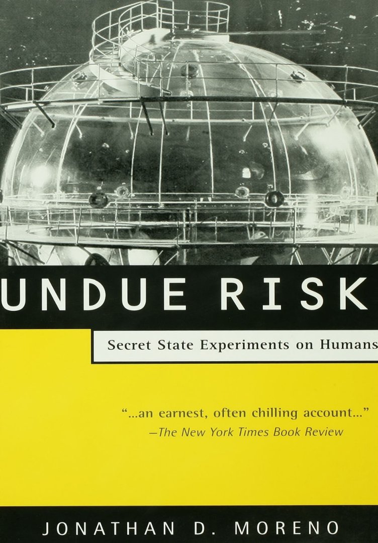 Cover of Undue Risk